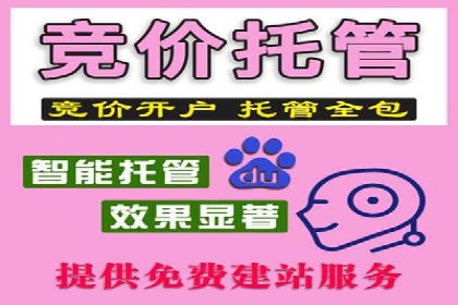 百度竞价广告的收费透明度与效果评估案例